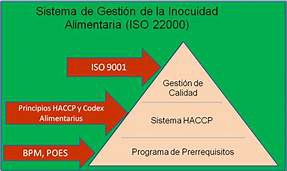 Odoo - Prueba 2 a tres columnas