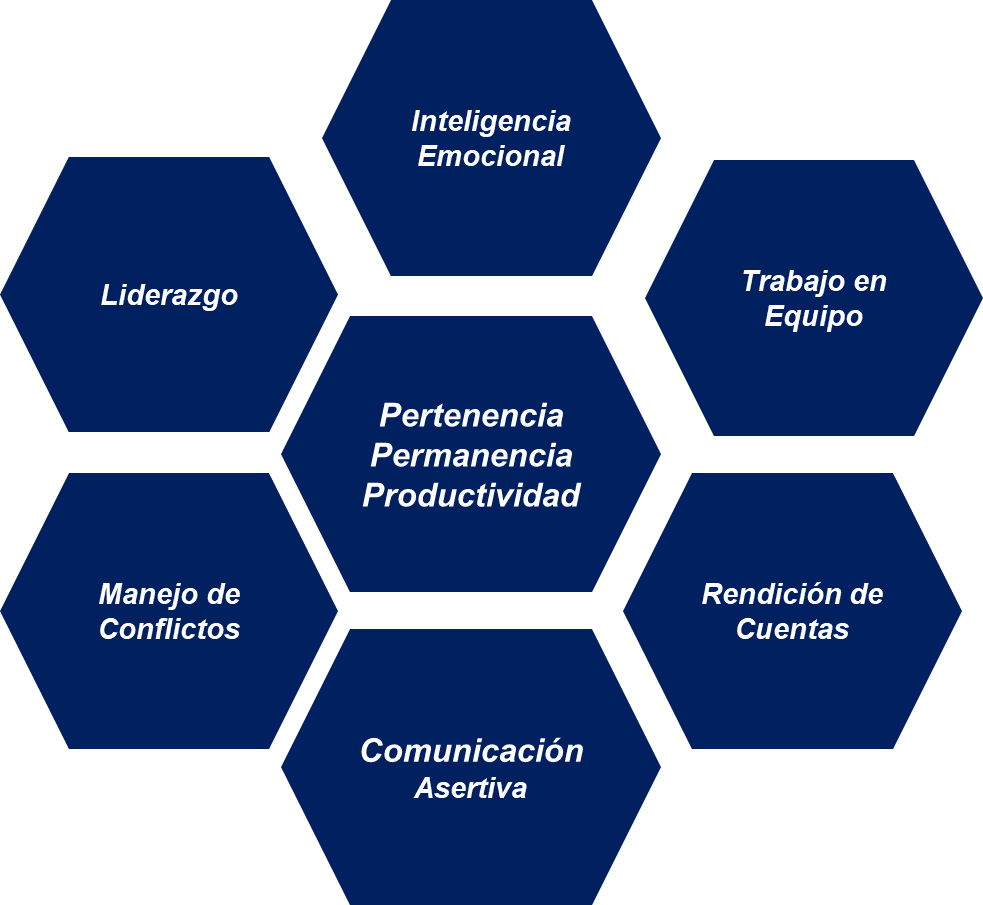 Odoo - Prueba 3 a tres columnas