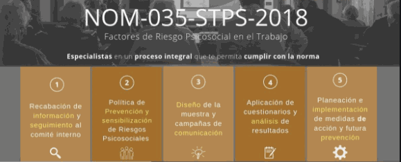 Odoo - Prueba 1 de tres columnas